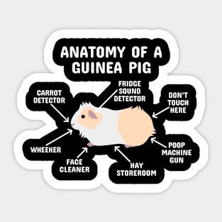 Anatomy of a Guinea Pig: Yellow and White Abyssinian (White Text) Sticker